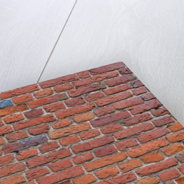 Brickwall by Assaf Frank